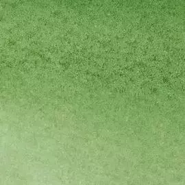 Маркер-кисть акварельный Water Colour Marker 311 HOOKERS GREEN