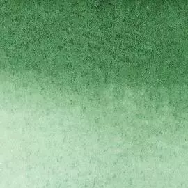 ?Маркер-кисть акварельный Water Colour Marker 312 HOOKERS GN DARK