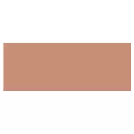 Маркер-кисть Karin "Brushmarker Pro" Пралине