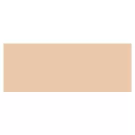 Маркер-кисть Karin "Brushmarker Pro" Розовое дерево