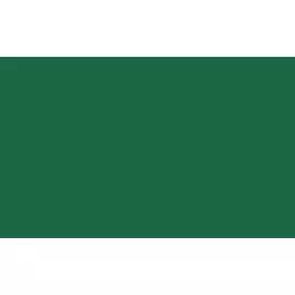 Маркер-кисть на водной основе Aqua Color Brush Зеленый