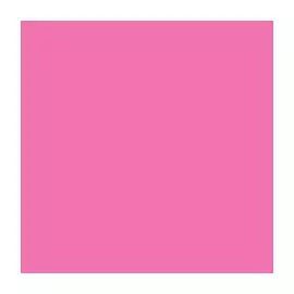 Маркер спиртовой PROMARKER цв. M647 вишневый светлый