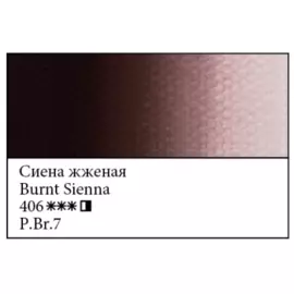 Масло "Мастер-Класс" 18 мл сиена жженая