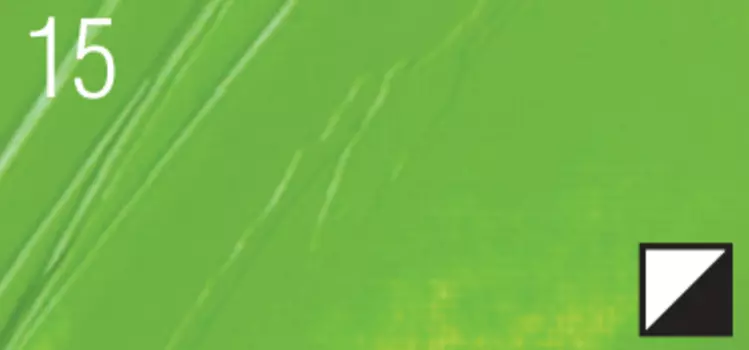 Масло PEBEO "Studio XL" 200 мл английский светло-зеленый