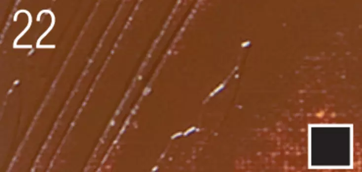 Масло PEBEO "Studio XL" 37 мл Сиена жженая