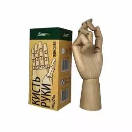 Модель "Кисть руки" "FORMERO" женская правая, 25 см