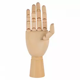 Модель "рука" 25 см, женская правая