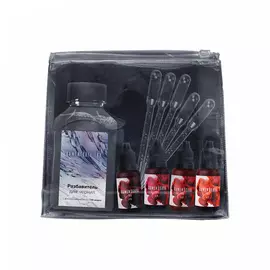 Набор алкогольных чернил Kamenskaya Ink №9, чернила 4 цв по 15 мл, разбавитель 300 мл, 5 пипеток