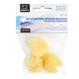 Набор губок натуральных (спонж для красок) Малевичъ, мелкозернистые, 5х3 см