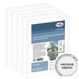 Набор холстов на картоне Гамма "Студия" 5 шт., 18*24 см, 100% хлопок, 280 г, мелкое зерно