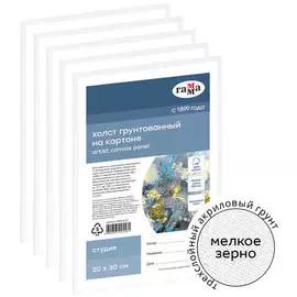 Набор холстов на картоне Гамма "Студия" 5 шт., 20*30 см, 100% хлопок, 280 г, мелкое зерно