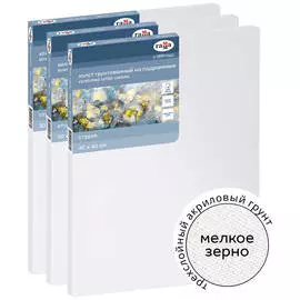 Набор холстов на подрамнике Гамма "Студия" 3 шт., 30*40 см, 100% хлопок, 280 г, мелкое зерно