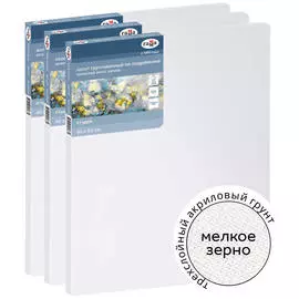 Набор холстов на подрамнике Гамма "Студия" 3 шт., 40*50 см, 100% хлопок, 280 г, мелкое зерно