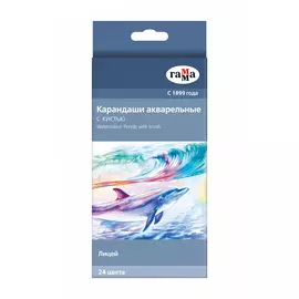 Набор карандашей акварельных Гамма "Лицей" 24 цв + кисть, в картоне