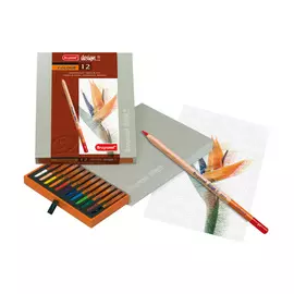 Набор карандашей цветных Bruynzeel-Sakura "Design" 12 шт профессиональные в картоне