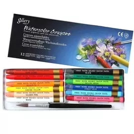 Набор мелков акварельных Mungyo "Gallery" 12 цв проф-ные, в картонной коробке + кисточка