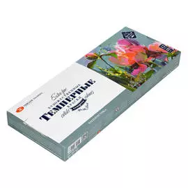 Набор темперы "Мастер-Класс" Колористика, 12 цв. в тубах по 18 мл, картон