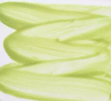 Надглазурная краска 50 г салатовый ХОРСС