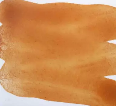 Надглазурная краска 50 г светло-коричневый ХОРСС