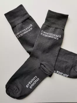 Носки "?Свободный художник", размер 42-46