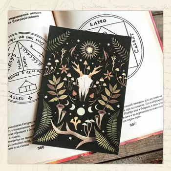 Открытка Дворникова А. "Череп оленя"