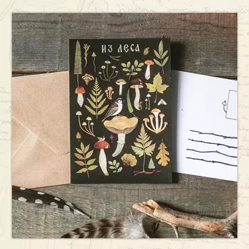 Открытка Дворникова А. "Воробушек"