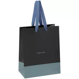 Пакет подарочный MESHU "Duotone. Grey-blue" 18*23*10 см, отд. фольгой, матовая ламинация
