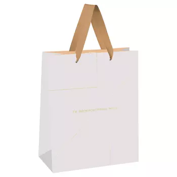 Пакет подарочный MESHU "Monocolor. White" 18*23*10 см, отд. фольгой, матовая ламинация