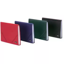 Папка 12 отделений Comix А4 на резинке, Зеленая