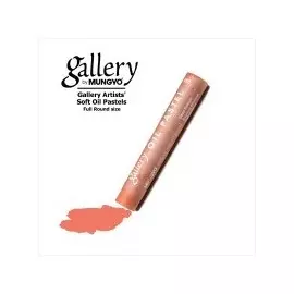 Пастель масляная профессиональная Mungyo, цвет № 256 Насыщенный лосось