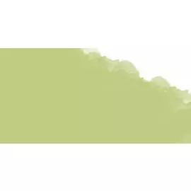 Пастель масляная профессиональная Mungyo, цвет №302 Зеленая ива