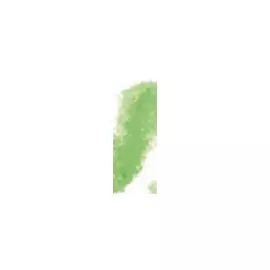 Пастель сухая Sennelier "A' L'ECU" зеленый баритовый светлый