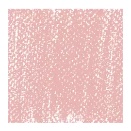 Пастель сухая Talens "Rembrandt" Капут мортуум 8