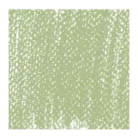 Пастель сухая Talens "Rembrandt" Оливковый 10