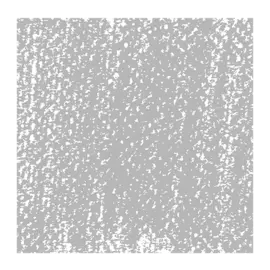 Пастель сухая Talens "Rembrandt" Серо-зеленый 9