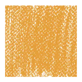 Пастель сухая Talens "Rembrandt" Сиена натуральная 5