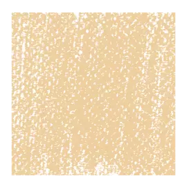 Пастель сухая Talens "Rembrandt" Сиена натуральная 9