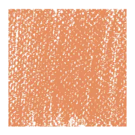 Пастель сухая Talens "Rembrandt" Сиена жженая 8