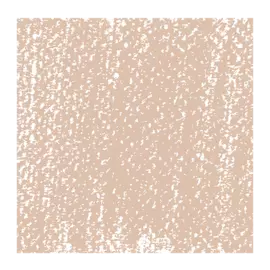 Пастель сухая Talens "Rembrandt" Умбра жженая 10