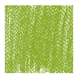 Пастель сухая Talens "Rembrandt" Желто-зеленый прочный 3