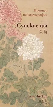 Прописи по каллиграфии "Сунские цы"