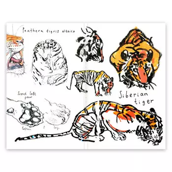 Скетчбук Maxgoodz "CLassic Fox and Owl" Амурский тигр А5, 32 л, 120 г