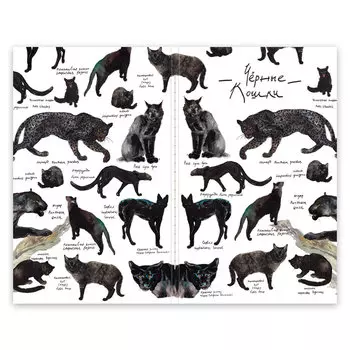 Скетчбук Maxgoodz "CLassic Fox and Owl" Черные кошки А5, 32 л, 120 г