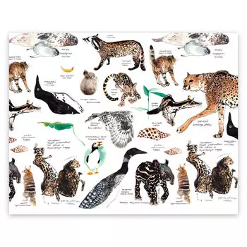 Скетчбук Maxgoodz "CLassic Fox and Owl" Mix А5, 32 л, 120 г