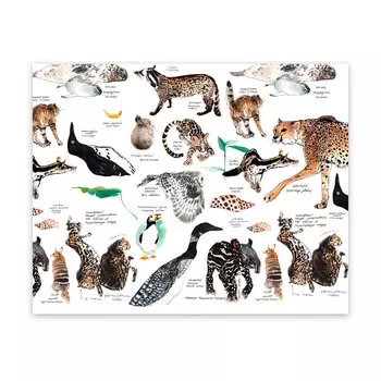 Скетчбук Maxgoodz "Pocket Fox and Owl" А6, 32 л, 100 г