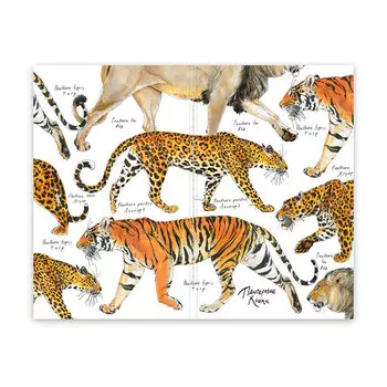 Скетчбук Maxgoodz "Pocket Fox and Owl" А6, 32 л, 100 г Пантеровые кошки