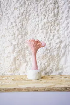 Свеча "Гриб Лисичка" розового цвета