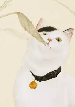 Тетрадь Котик по кличке Миндаль 3