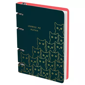 Тетрадь на кольцах MESHU "Amazing cats" А5 100 л, картон, матовая ламинация, выборочный УФ-лак