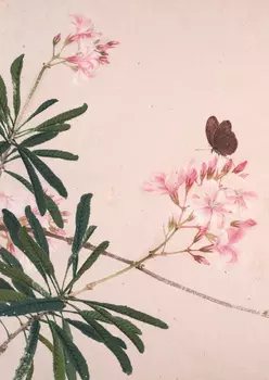 Тетрадь Насекомые и цветы "Мотылек"